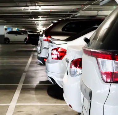 Sample Picture - Left